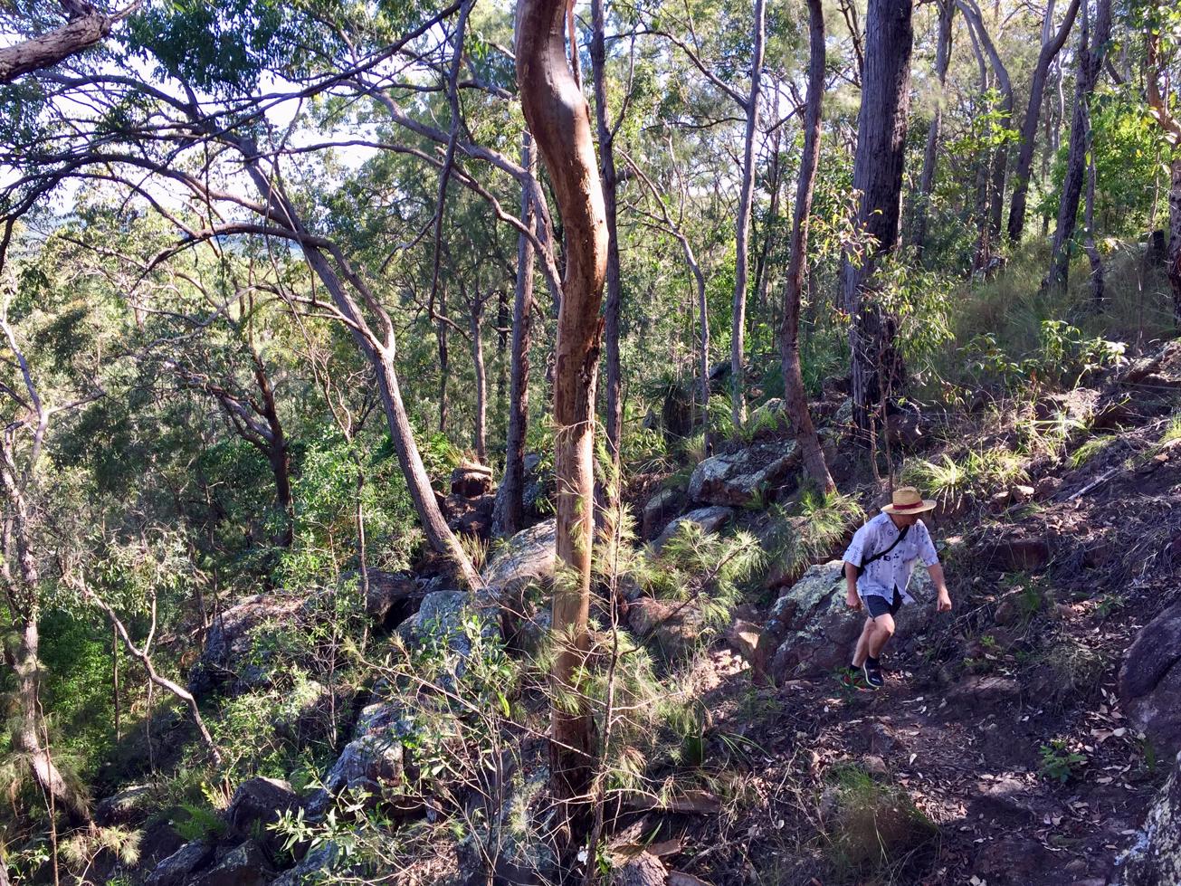 Glass House Mountains National Park Yulyanman Track Adventure